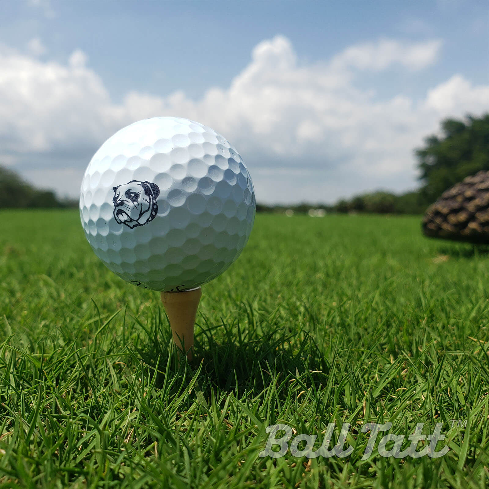 Bulldog Golf Ball Stamp for Custom Marking, Permanent Ink - Groovy Golfer