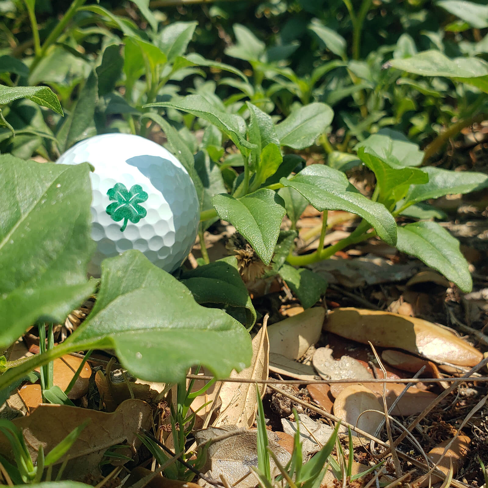 Clover Golf Ball Stamp and Ball Marker Gift Set