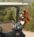 Squirrel Golf Headcover