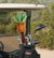 Swingers Pineapple Headcover