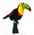 Toucan Golf Headcover